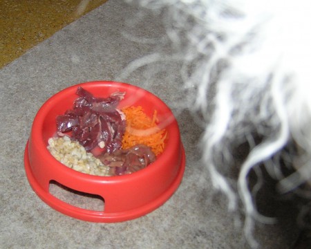 21. den menu k večeři: syrové vepřové srdce, ledvinka, mrkev s lososovým olejem, spařené ovesné vločky 